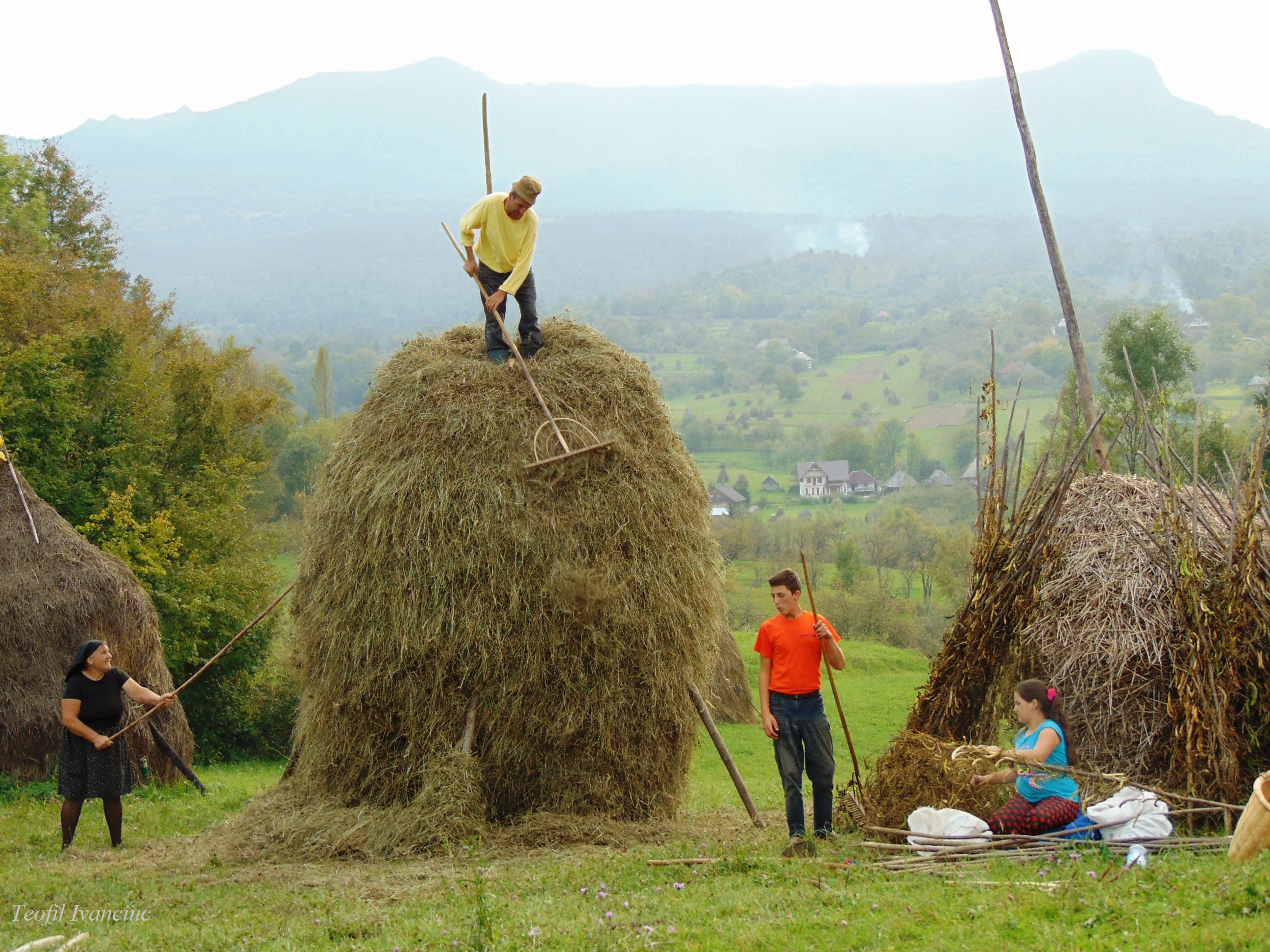 haystacks in Transylvania